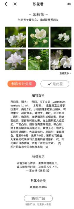 微信app小程序中的識花君怎么用？微信app小程序中的識花君用法介紹！