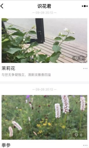 微信app小程序中的識花君怎么用？微信app小程序中的識花君用法介紹！