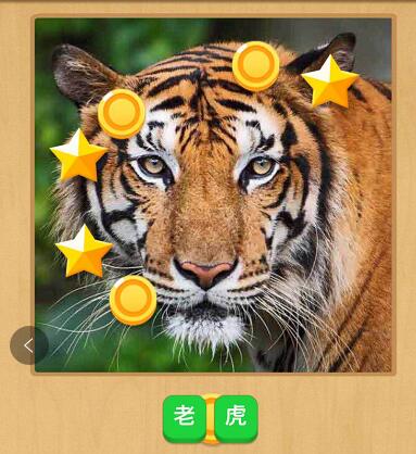 微信小程序中猜猜圖小游戲正確答案是什么？微信小程序中猜猜圖小游戲正確答案一覽！