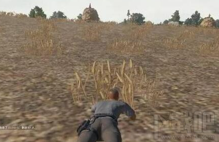 win 10絕地求生跳傘卡頓怎么辦？是配置問題嗎？
