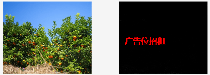 vue中使用帶隱藏文本信息的圖片、圖片水印的方法