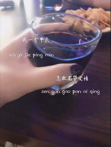 抖音我一介平民怎敢高攀愛情圖片  一介平民怎敢高攀愛情高清無水印圖片分享