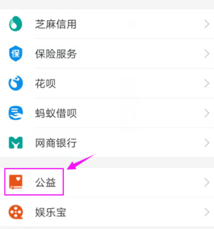 支付寶app如何開啟公益？詳細操作步驟