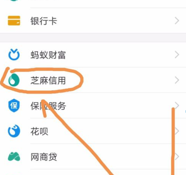 支付寶芝麻信用如何導入賬單？ 支付寶芝麻信用賬單導入方法是什么？
