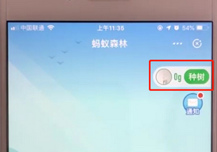 支付寶APP螞蟻森林申請種樹的詳細操作步驟