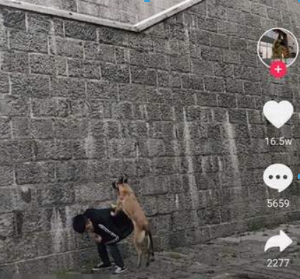 抖音漫畫光頭和尚特效如何拍攝？ 很火的光頭和尚拍攝教程解答！
