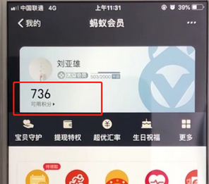 支付寶APP查詢螞蟻會員積分的具體操作步驟
