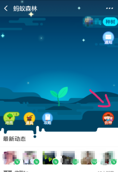 支付寶螞蟻森林如何發起合種？螞蟻森林操作教程