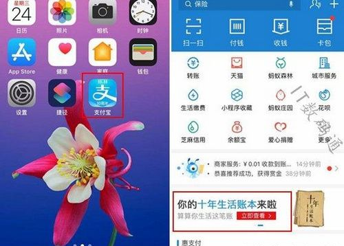 支付寶我的十年生活賬本如何查看？我的十年生活賬本查看方法介紹！