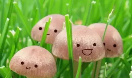 微信微粒貸怎么開通？小編教你玩轉微粒貸！