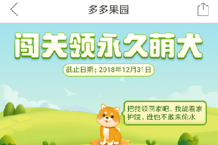 拼多多果園怎么養狗？果園養狗方法技巧圖文步驟講解