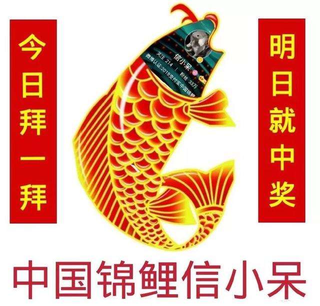 中國錦鯉2019年還有嗎？支付寶中國錦鯉2019年開獎詳情