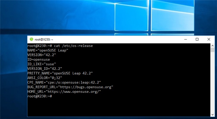 Linux GUI應用可在Win10系統運行 任何人都能夠使用