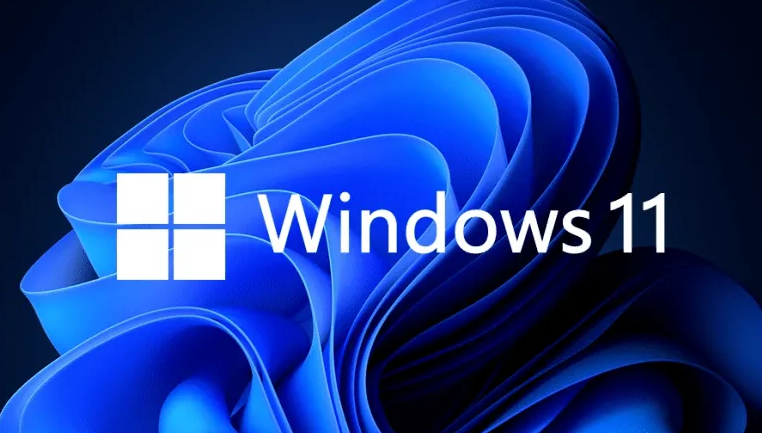 Windows11優化磁盤驅動技巧分享