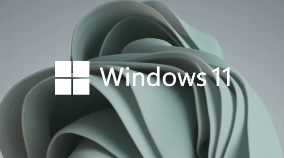 Windows11設置虛擬內存技巧分享