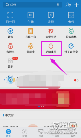 螞蟻莊園怎么揍偷吃的小雞？支付寶螞蟻莊園胖揍功能詳解