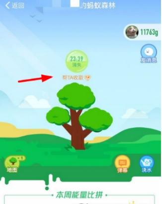 支付寶螞蟻森林怎么給好友澆水？給好友澆水方法分享