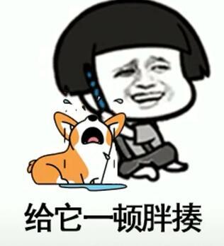 抖音我在那小區遛狗是什么歌？