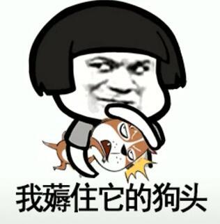 抖音我在那小區遛狗是什么歌？