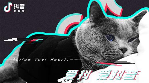 抖音木小雅幻夢在哪里聽？木小雅幻夢歌曲分享