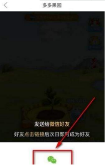 多多果園要怎么添加好友？多多果園添加微信好友教程分享
