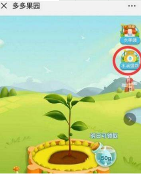 拼多多的多多果園水果郵寄要錢嗎？多多果園水果免費郵寄嗎？
