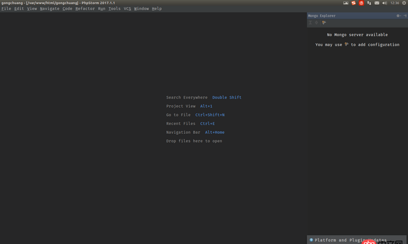node.js - 如何在webstorm中啟動并連接mongodb數據庫呢？