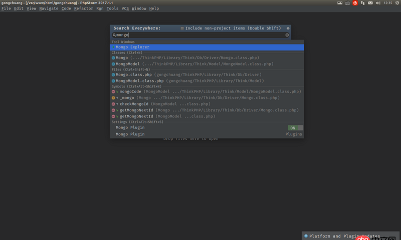 node.js - 如何在webstorm中啟動并連接mongodb數據庫呢？