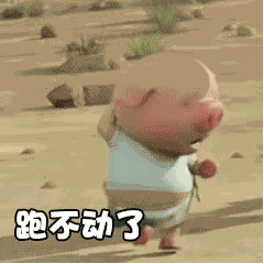 抖音小豬跑步動態表情包分享【高清無水印】