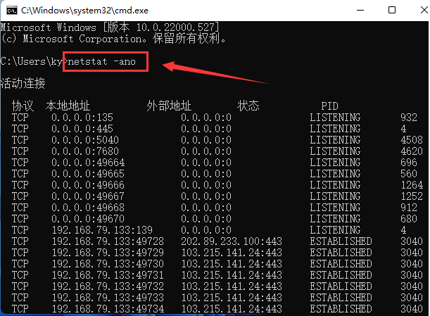 Windows11查找指定端口信息步驟介紹