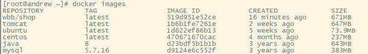 IDEA連接遠程服務器Docker部署Spring Boot項目的詳細教程