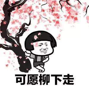 我的將軍啊表情包【抖音狼煙風沙口GIF表情包分享】