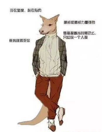 抖音動物系男友是什么意思？抖音動物系男友有哪些特征？