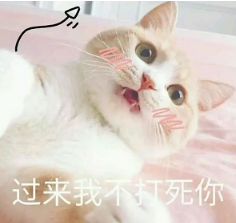 抖音喵喵喵貓咪表情包高清無水印圖片分享！