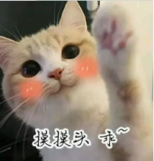 抖音喵喵喵貓咪表情包高清無水印圖片分享！