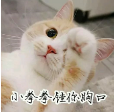抖音喵喵喵貓咪表情包高清無水印圖片分享！