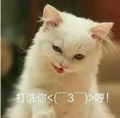 抖音喵喵喵貓咪表情包高清無水印圖片分享！