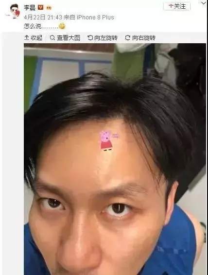 抖音小豬佩奇慘遭封殺_小豬佩奇為什么被稱為社會人