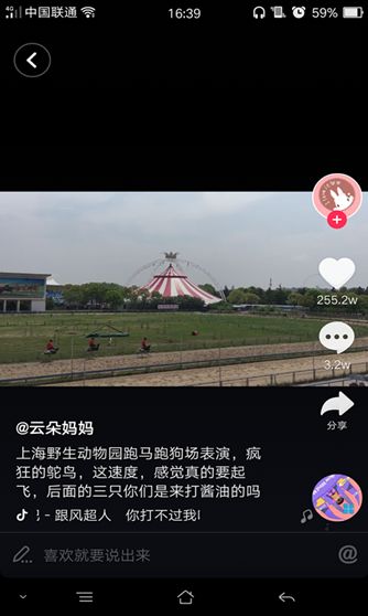 抖音騎鴕鳥賽跑背景音樂是什么？抖音哈哈哈哈你打不過我吧歌曲介紹