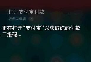 iPhone支付寶語音付款是真的嗎？iPhone支付寶怎么設置語音付款？