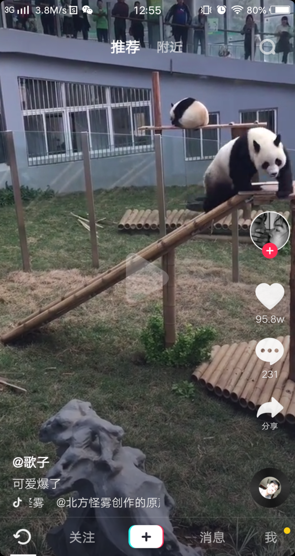 抖音皮大大什么梗？皮大大出處分享