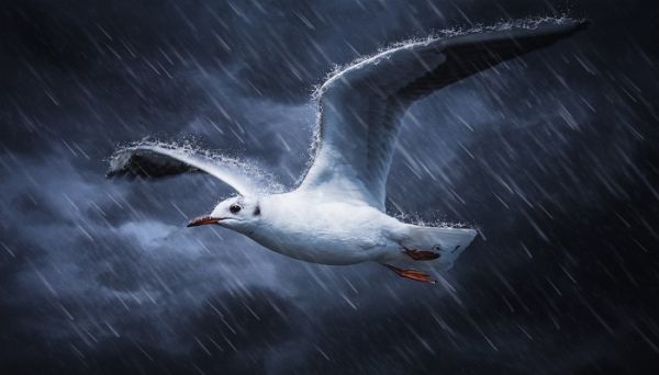 暴雨的說說發朋友圈 下暴雨怎么發朋友圈