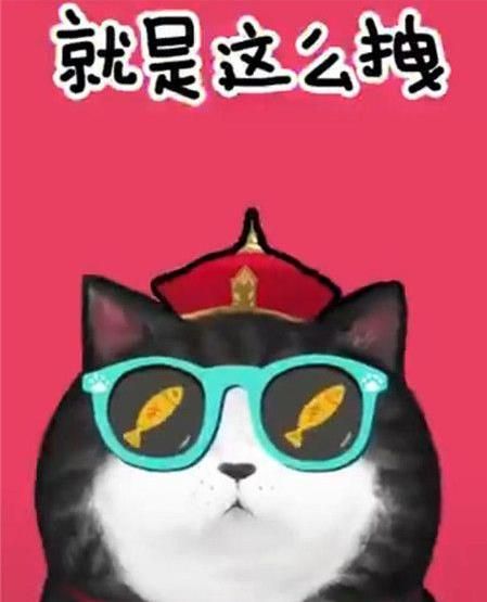 抖音我們喵星人是什么歌？抖音我們喵星人就是辣么拽歌詞分享