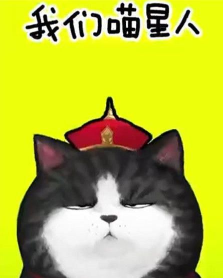 抖音我們喵星人是什么歌？抖音我們喵星人就是辣么拽歌詞分享