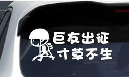 抖音春風吹楊柳下一句是什么？抖友暗號春風吹楊柳完整版介紹