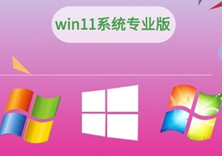 win11家庭版和專業版