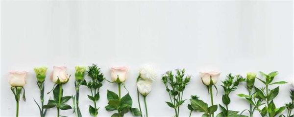天熱怎么發朋友圈 關于天氣炎熱的文案