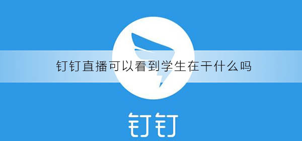 釘釘直播可以看到學生在干什么嗎