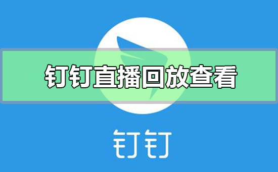釘釘直播回放在哪里怎么看
