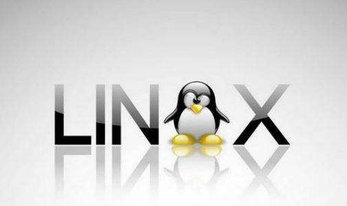 Linux是什么？它是哪個國家開發的